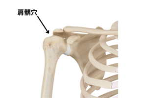 先ツボ（前ツボ）と言われる部分は手縫いで縫い付けます🧵 ぞうりの